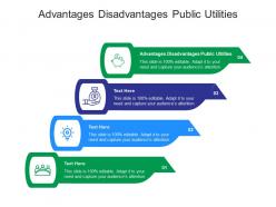 Advantages disadvantages public utilities ppt powerpoint presentation file background designs cpb