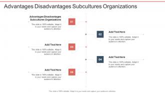 Advantages Disadvantages Subcultures Organizations In Powerpoint And Google Slides Cpb