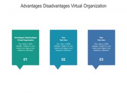 Advantages disadvantages virtual organization ppt powerpoint presentation gallery slides cpb