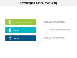 Advantages niche marketing ppt powerpoint presentation file maker cpb