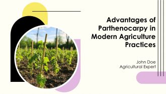 Advantages Of Parthenocarpy In Modern Agriculture Practices PPT Guidelines AT