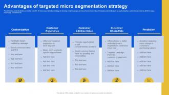 Advantages Of Targeted Micro Segmentation Introduction To Micromarketing Customer MKT SS V