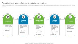 Advantages Of Targeted Micro Segmentation Strategy Understanding Various Levels MKT SS V