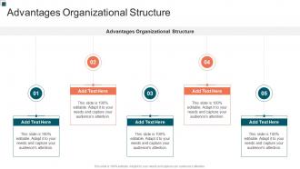 Advantages Organizational Structure In Powerpoint And Google Slides Cpb