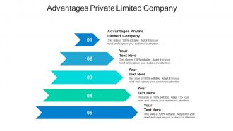 Advantages private limited company ppt powerpoint presentation infographics templates cpb