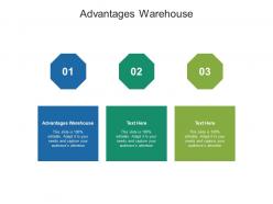 Advantages warehouse ppt powerpoint presentation model templates cpb