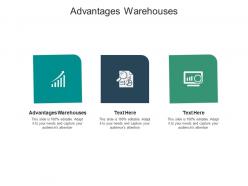 Advantages warehouses ppt powerpoint presentation summary files cpb