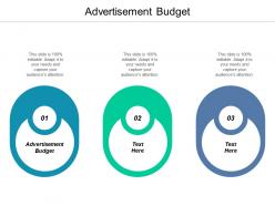 Advertisement budget ppt powerpoint presentation gallery skills cpb