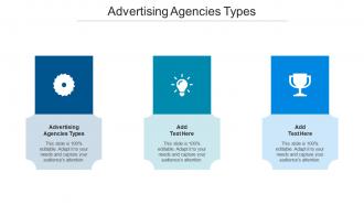Advertising Agencies Types Ppt Powerpoint Presentation Summary Designs Cpb