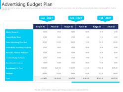 Advertising Budget Plan Agency Pitching Ppt Pictures File Formats