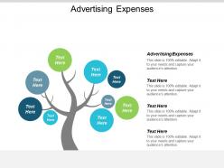Advertising expenses ppt powerpoint presentation gallery introduction cpb