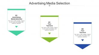 Advertising media selection ppt powerpoint presentation model skills cpb