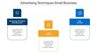 Advertising Techniques Small Business Ppt Powerpoint Presentation Icon Slideshow Cpb