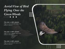 Aerial view of bird flying over the green woods