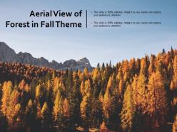 Aerial view of forest in fall theme