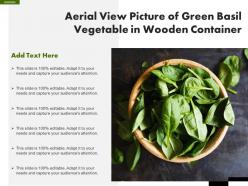 Aerial view picture of green basil vegetable in wooden container