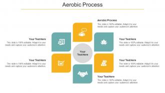 Aerobic Process Ppt Powerpoint Presentation Summary Styles Cpb