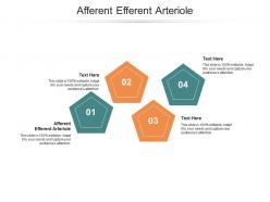 Afferent efferent arteriole ppt powerpoint presentation icon graphics cpb