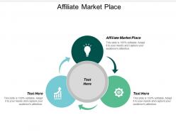 Affiliate market place ppt powerpoint presentation file backgrounds cpb