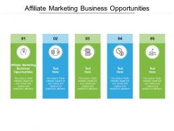 Affiliate marketing business opportunities ppt presentation styles information cpb