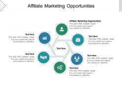 Affiliate marketing opportunities ppt powerpoint presentation show deck cpb