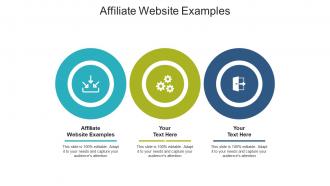 Affiliate website examples ppt powerpoint presentation slides background cpb