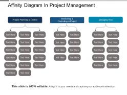 Affinity diagram in project management ppt example file