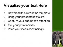 African elephant animals powerpoint backgrounds and templates 0111