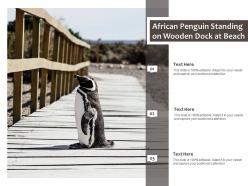 African penguin standing on wooden dock at beach