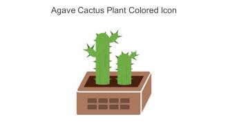 Agave Cactus Plant Colored Icon In Powerpoint Pptx Png And Editable Eps Format
