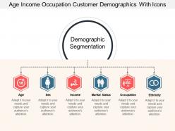 Age income occupation customer demographics with icons