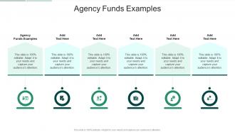 Agency Funds Examples In Powerpoint And Google Slides Cpb