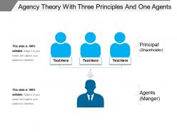 Agency theory with three principles and one agents