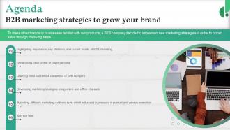 Agenda B2B Marketing Strategies To Grow Your Brand MKT SS V