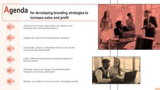 Agenda Developing Branding Strategies To Increase Sales And Profit