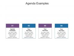 Agenda examples ppt powerpoint presentation icon file formats cpb