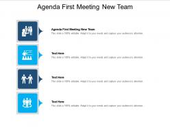 Agenda first meeting new team ppt powerpoint presentation professional graphic images cpb