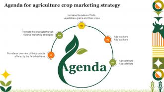 Agenda For Agriculture Crop Marketing Strategy Ppt Icon Designs Download Strategy SS V