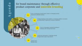 Agenda For Brand Maintenance Through Effective Product Corporate And Umbrella Branding SS