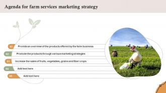 Agenda For Farm Services Marketing Strategy SS V