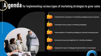 Agenda For Implementing Various Types Of Marketing Strategies To Grow Sales Strategy SS