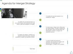 Agenda for merger strategy