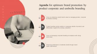 Agenda For Optimum Brand Promotion By Product Corporate And Umbrella Branding