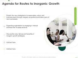Agenda For Routes To Inorganic Growth Routes To Inorganic Growth Ppt Professional