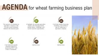 Agenda For Wheat Farming Business Plan Ppt Background BP SS