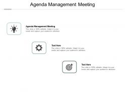 Agenda management meeting ppt powerpoint presentation pictures vector cpb