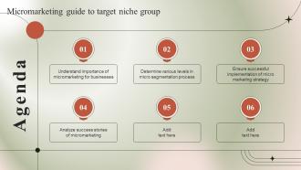 Agenda Micromarketing Guide To Target Niche Group MKT SS