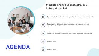 Agenda Multiple Brands Launch Strategy In Target Market