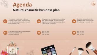 Agenda Natural Cosmetic Business Plan BP SS