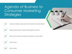 Agenda of business to consumer marketing strategies ppt professional